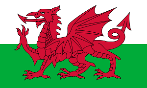 Wales Flag 2' x 3'