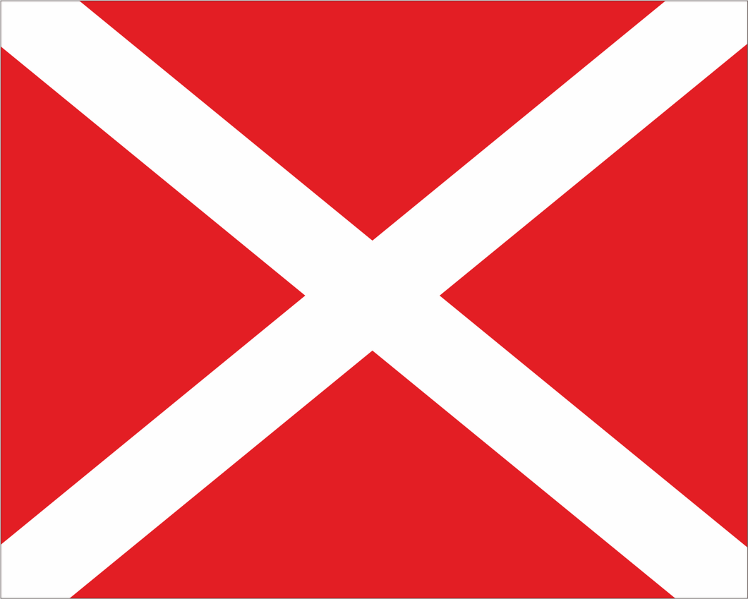 Red with White X 'SAFETY VEHICLE' Road Race Flag
