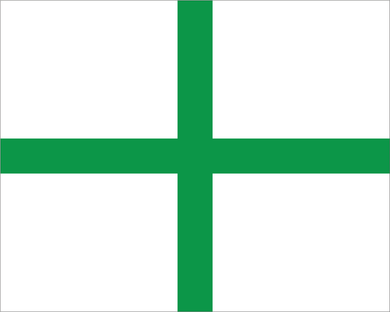 White with Green + 'MEDICAL' Road Race Flag